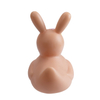 Easter Rabbit Rubber Duck