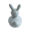 Easter Rabbit Rubber Duck