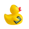 Businessman Rubber Duck